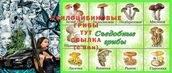 кокс Белокуриха
