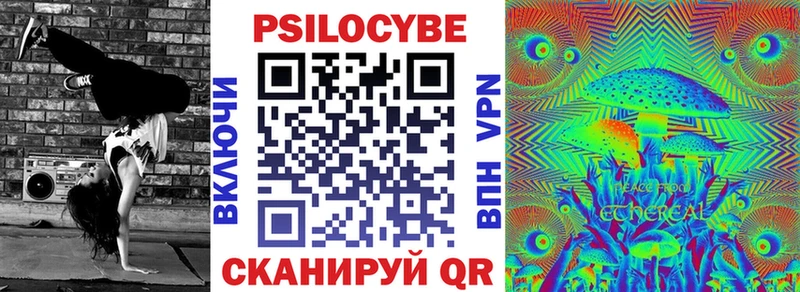 нарко площадка формула Нерчинск Псилоцибиновые грибы Cubensis